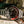 Rolex Watch GMT-Master II 16760 Fat Lady - Coke - Full Set - 1984