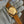 Rolex Oyster Perpetual Date 1503 - 18K Yellow Gold - Sigma Dial - Watch Only (1979)