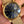 Rolex Watch Oyster Perpetual Date 15037 - Blue Dial 14k Yellow Gold - Watch Only (1987)