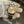 Rolex Watch Oyster Perpetual Date 1505 - Two-Tone Silver Dial - Watch Only - 1978