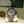 Rolex Watch Rolex Explorer II 16570 - Polar Dial - Box & Papers - 2004