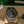 Rolex Watch Sea-Dweller 43 126600 - Red SEA-DWELLER - Full Set - 2022