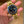 Rolex Watch Submariner Date 16808 - 18K Yellow Gold Blue Nipple Dial - Watch Only