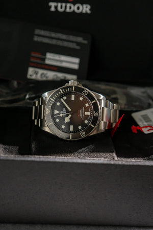 Tudor Watch Pelagos 39 25407N - Titanium - Full Set - 2024