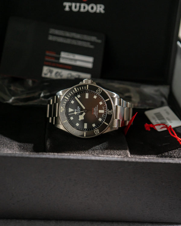 Tudor Watch Pelagos 39 25407N - Titanium - Full Set - 2024