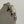 Tudor Watch Ranger 79930 - Dune White - Full Set - 2025